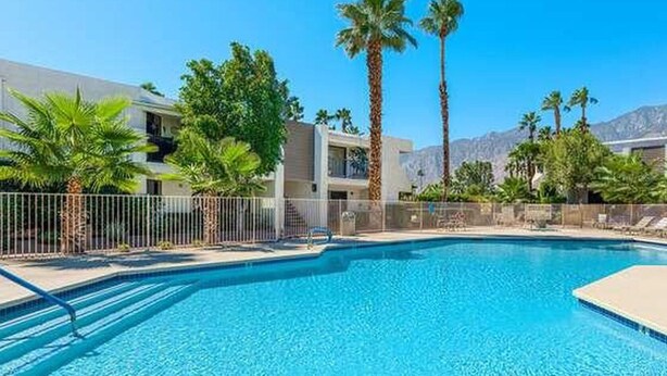 A swimming pool with clear blue water, surrounded by palm trees and a fence.