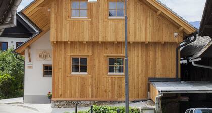 1861 Blejka apartments