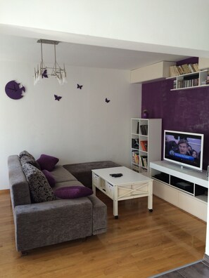 Flat-screen TV, DVD player, books