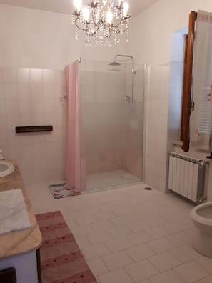 Tina con regadera, secadora de cabello, bidet, toallas