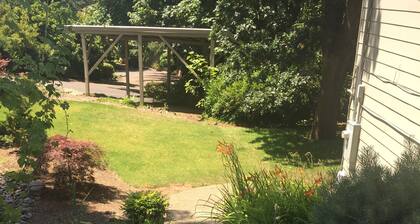 Daylight Basement Studio