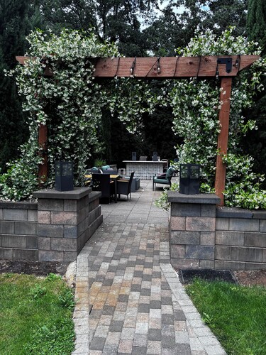 Daylight Basement Studio