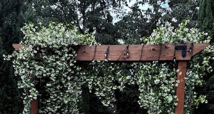 Daylight Basement Studio