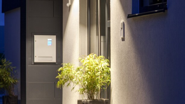 A modern building entrance with a potted plant and a light fixture above the door.