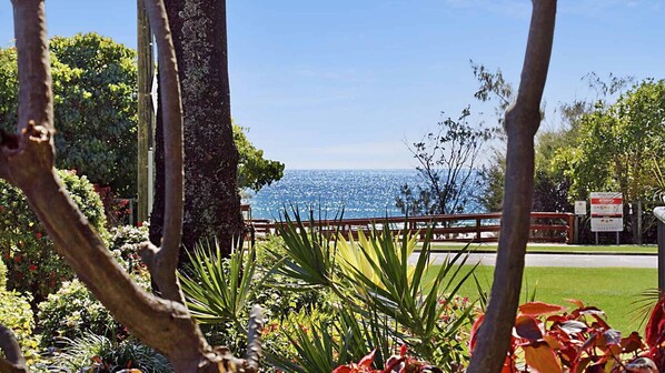 Property grounds - Bilinga Gardens 3 - Bilinga/ North Kirra Beachfront - Min. 3 Night Stays! (Bilinga)