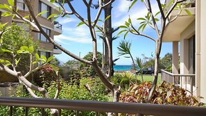 Property grounds - Bilinga Gardens 3 - Bilinga/ North Kirra Beachfront - Min. 3 Night Stays! (Bilinga)