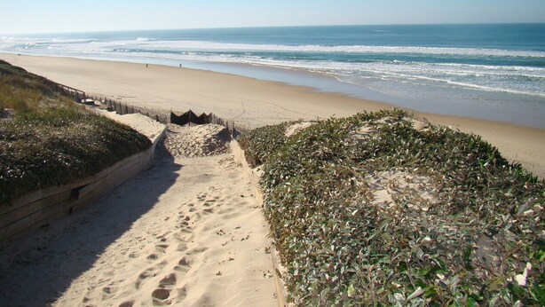 A sandy beach with footprints leading to the water, a wooden walkway, and dense vegetation. - Agréable pavillon 6 personnes dans résidence avec piscine (009) (Biscarrosse)