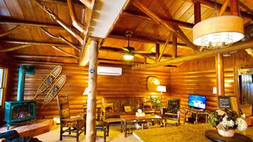 Tv, eldstad och böcker