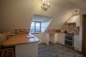 Apartment | Shared kitchen | Fridge, microwave, oven, stovetop