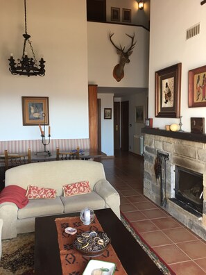 TV connectée, cheminée, jeux vidéo, lecteur de DVD