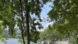 Un muelle a orillas del lago con varias embarcaciones y canoas, rodeado de vegetación y árboles.