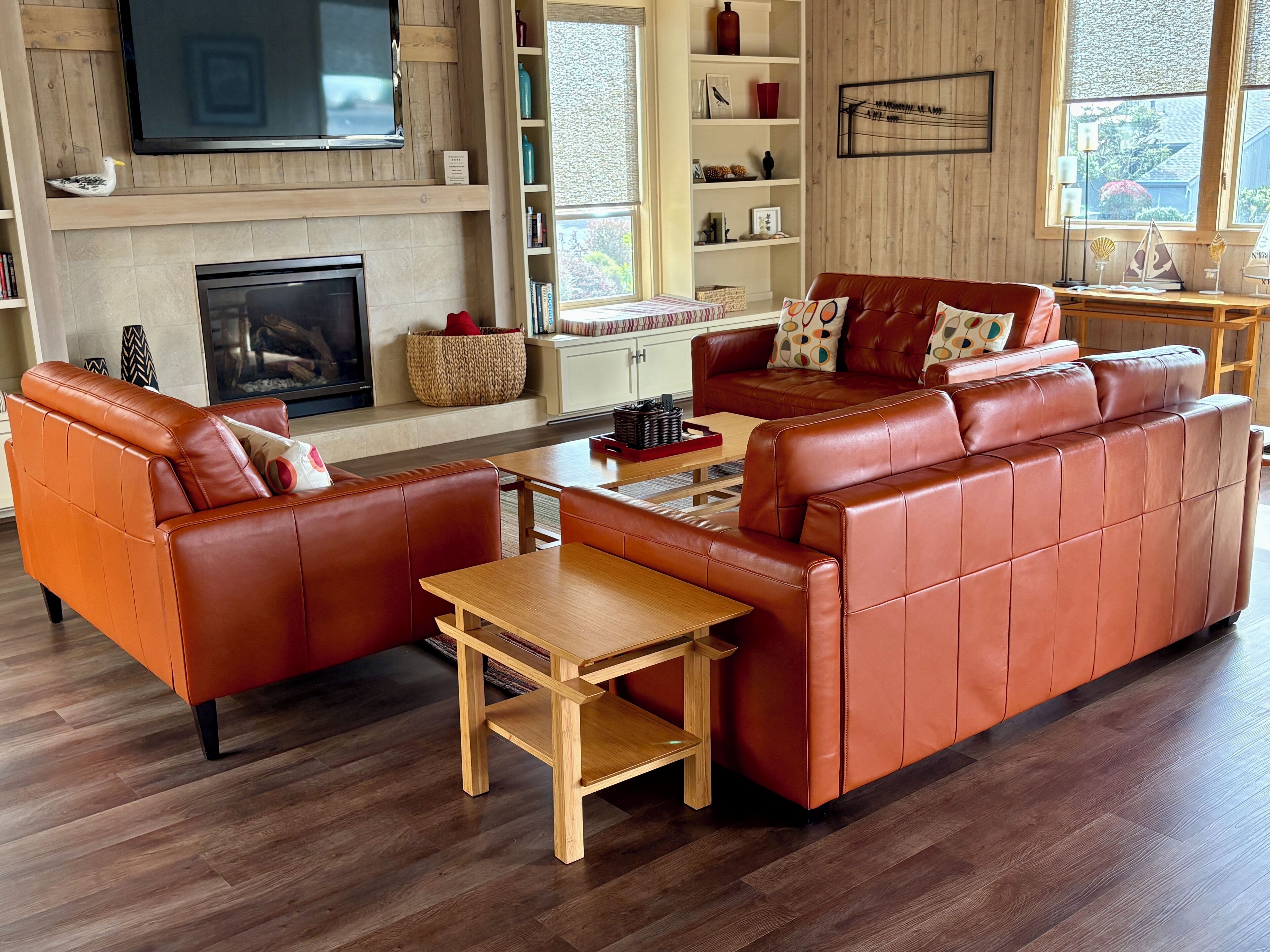 Smart TV, fireplace, DVD player, video library