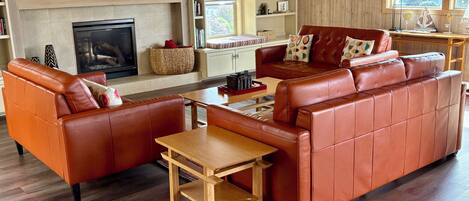 Smart TV, fireplace, DVD player, video library