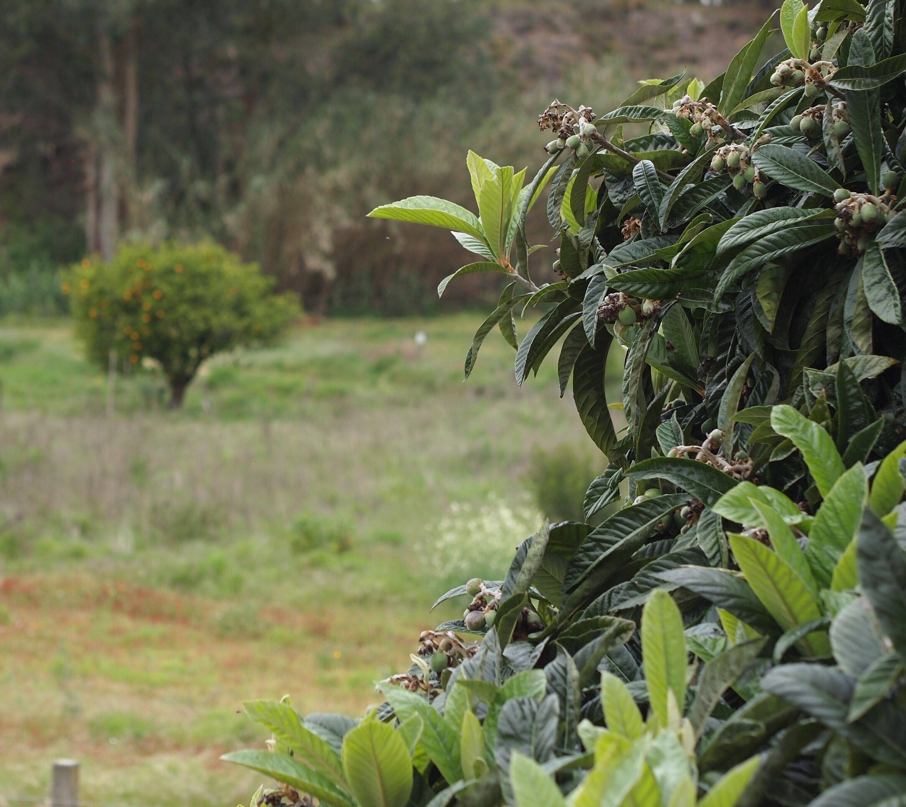 المنطقة المحيطة بالمنشأة