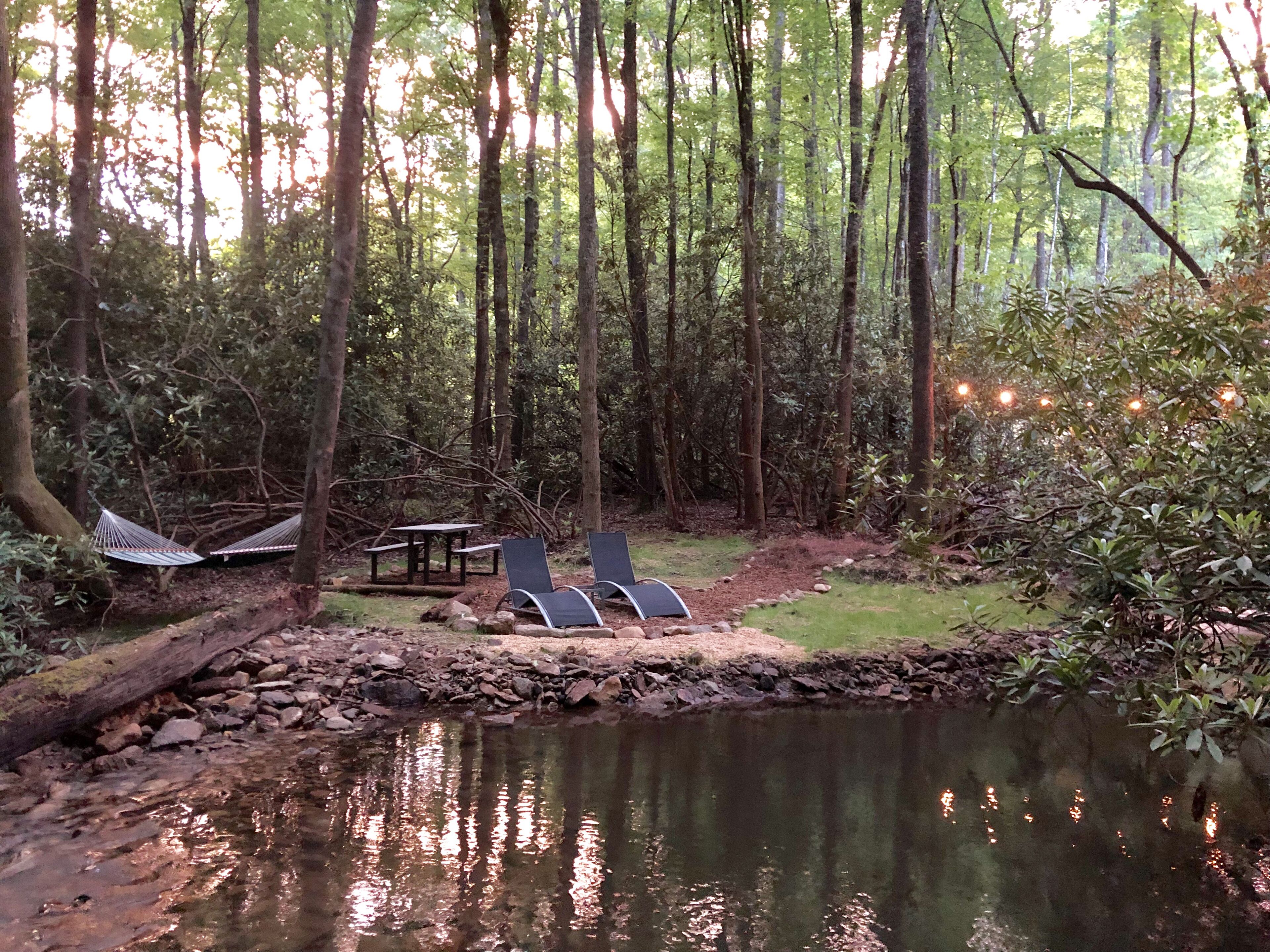 Un entorno forestal tranquilo con un estanque, una hamaca y una mesa de picnic.
