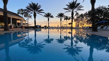 Relax by the serene pool surrounded by palm trees and lounge chairs, with a covered area for communal gatherings.