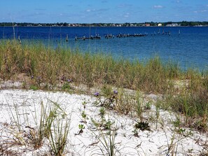 Nær stranden