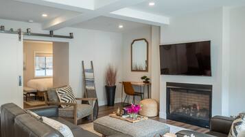 TV connectée, cheminée, livres, chaîne hi-fi