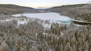 A winter landscape with a lake, snow-covered trees, and a road.
