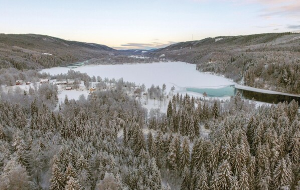A winter landscape with a lake, snow-covered trees, and a road.