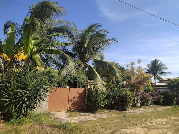 A residential area with a wooden fence, palm trees, and a clear blue sky.