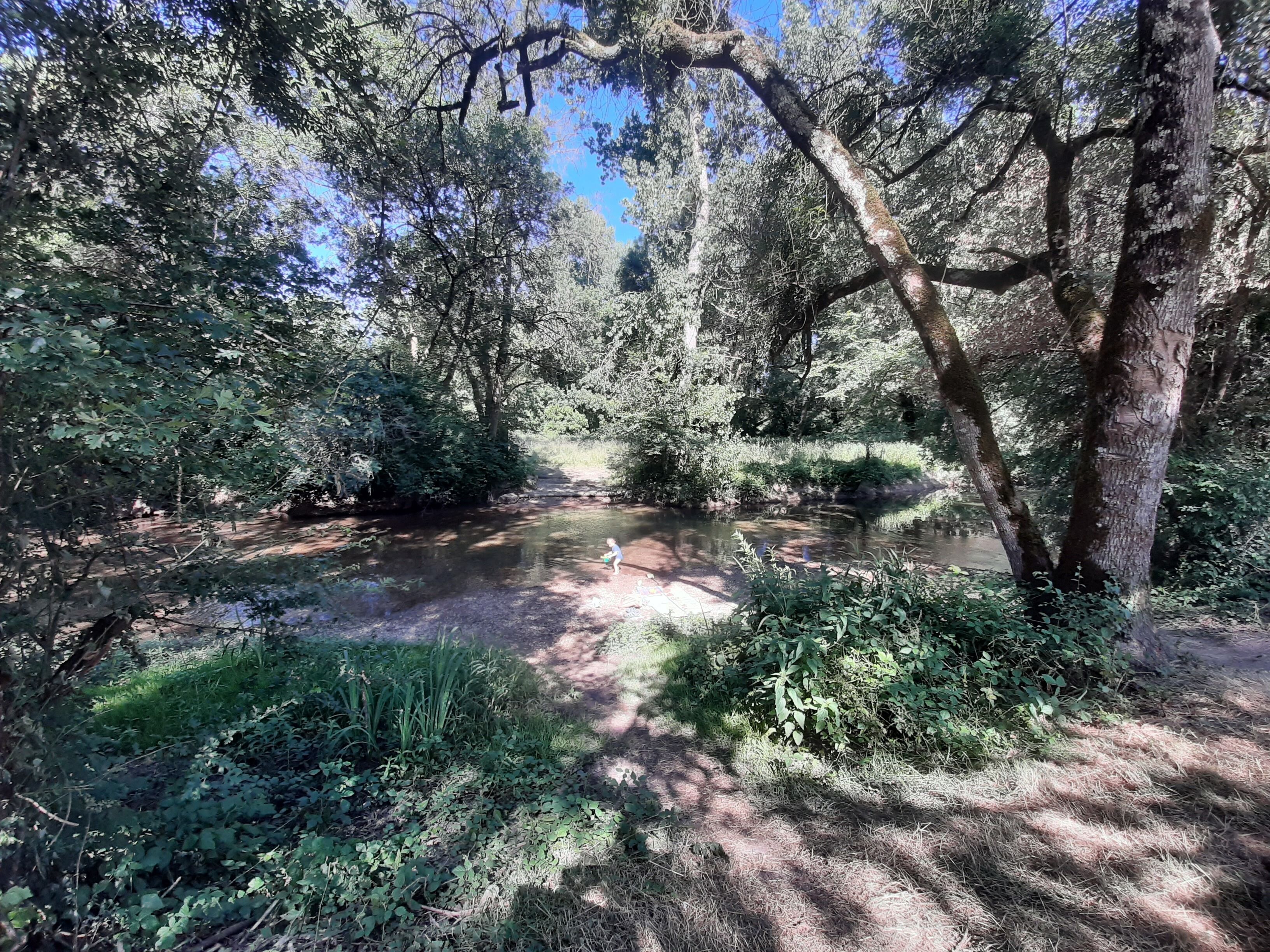 Un paisaje natural con un río, vegetación densa y cielo despejado.