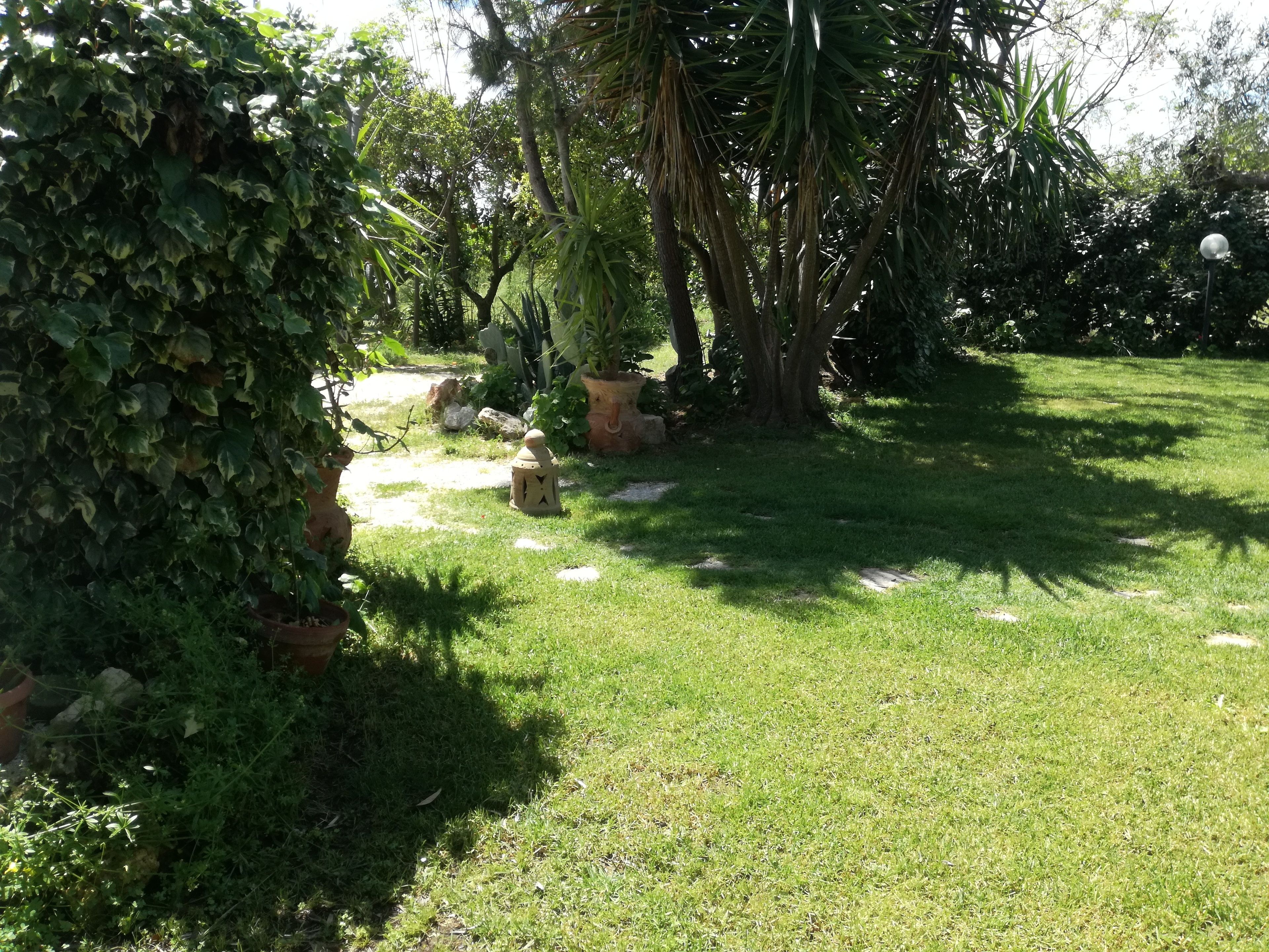 A well-maintained garden with a variety of plants, a small decorative lantern, and a clear pathway.