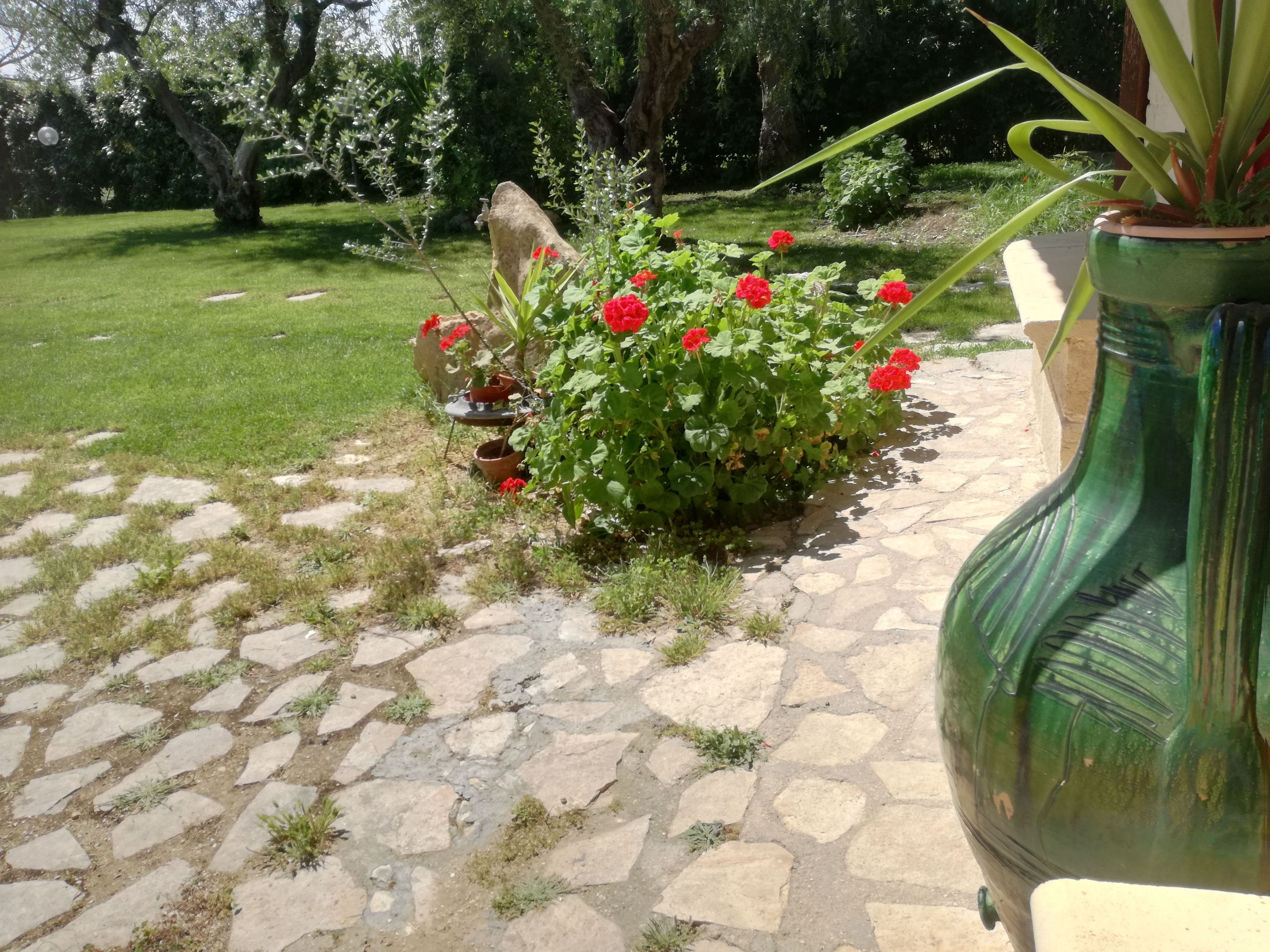 A garden with a stone pathway, a green vase, and red flowers.
