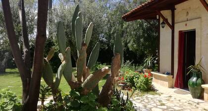 MyLife B&B