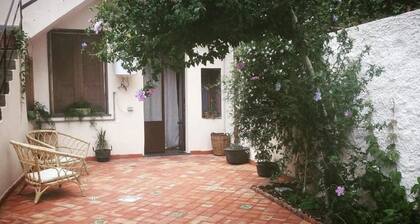 Guest House Le Ginestre Dell'Etna