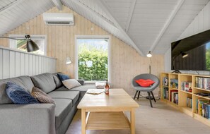 TV, lareira, DVD player