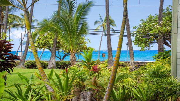 A tropical garden with palm trees and various plants, leading to a view of the ocean. - Oceanfront Remodeled Studio Condo (Kailua-Kona)
