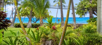 Oceanfront Remodeled Studio Condo