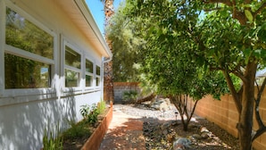 A pathway leading to a building with large windows, surrounded by a garden with a variety of plants and a small tree. - Spacious Southwestern Sunny Casita (Tucson)
