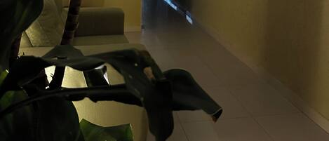 A modern hotel room with a large window, a plant, and a flat-screen TV mounted on the wall.
