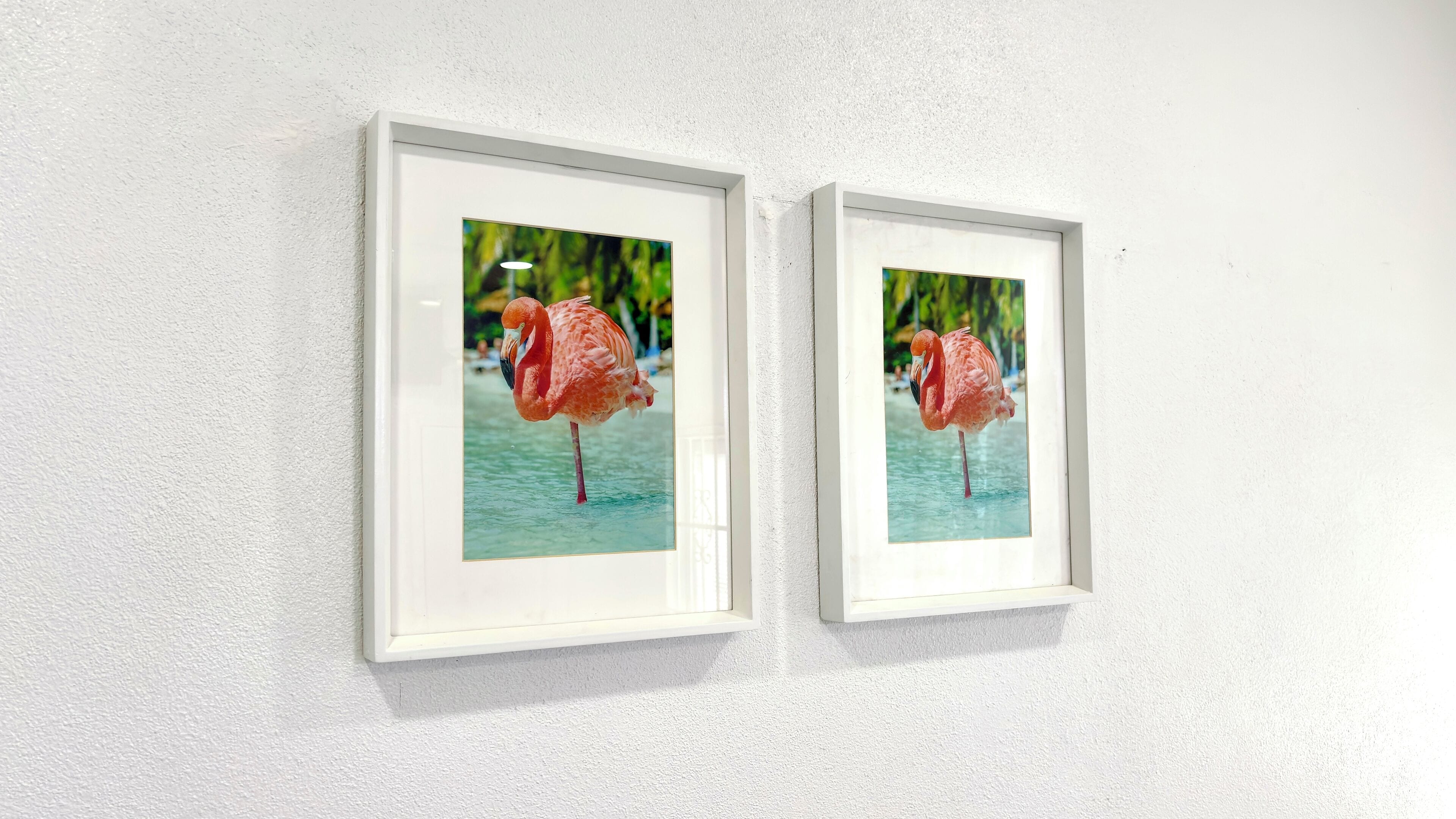 Dos fotografías enmarcadas de un flamenco en el agua.