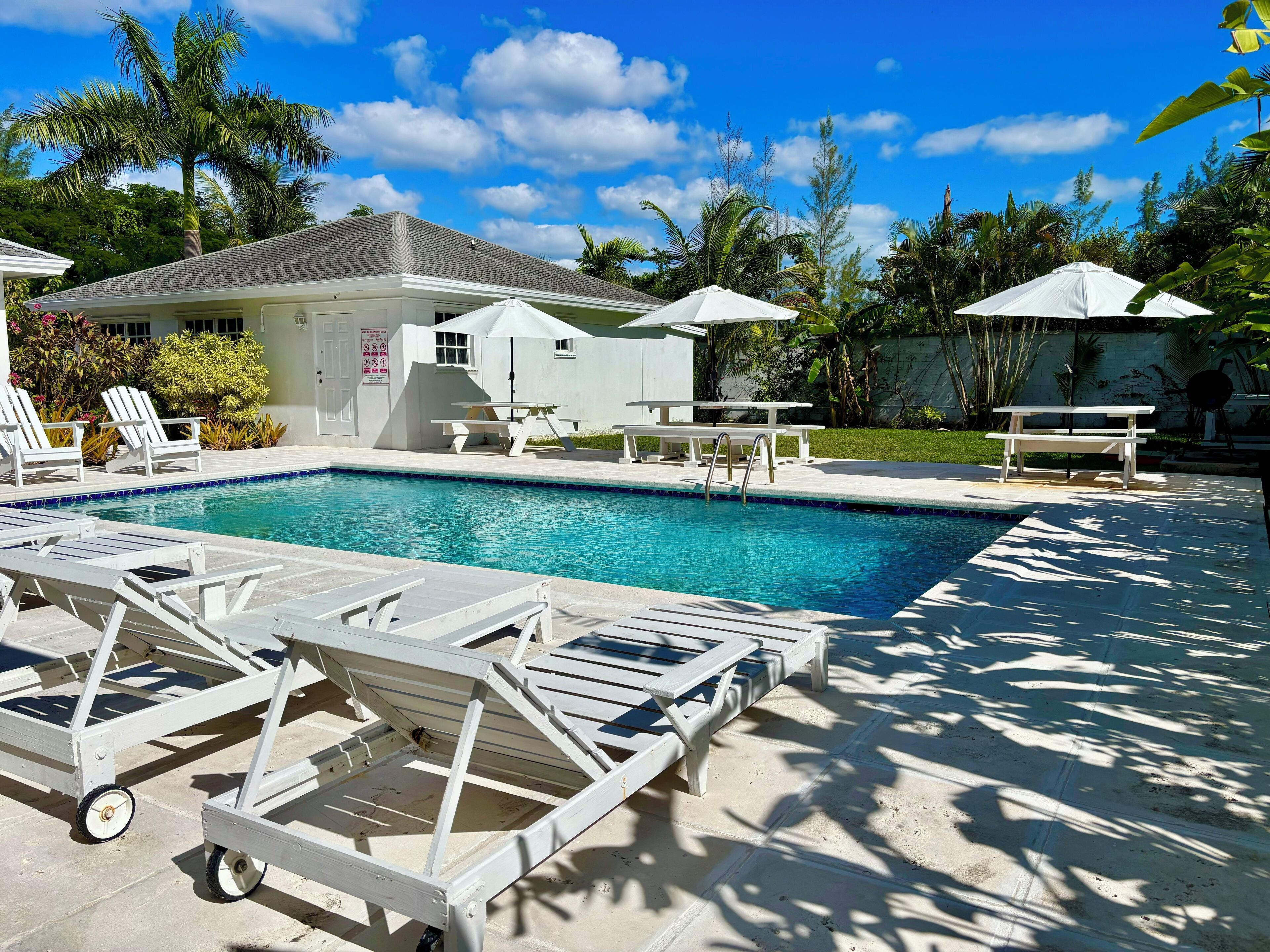 A swimming pool with lounge chairs and umbrellas, surrounded by palm trees and a building with a sign.
