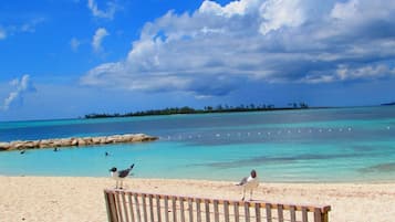Plage à proximité, chaises longues, serviettes de plage