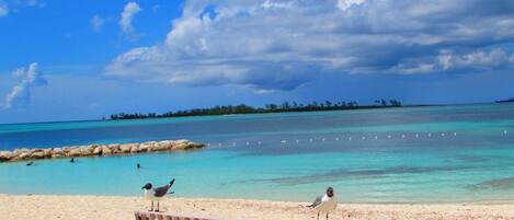 Nära stranden, solstolar och strandhanddukar