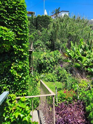 Property grounds - Les Terrasses Suites (Calheta)