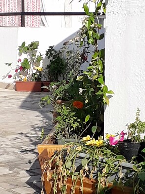 Property grounds - Bolero Apart Hotel (Bodrum)