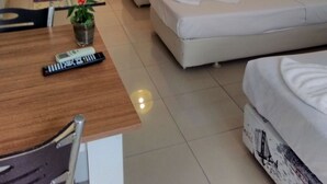 A room with two single beds, a small table with a potted plant, a remote control, and a window with blinds. - Bolero Apart Hotel (Bodrum)