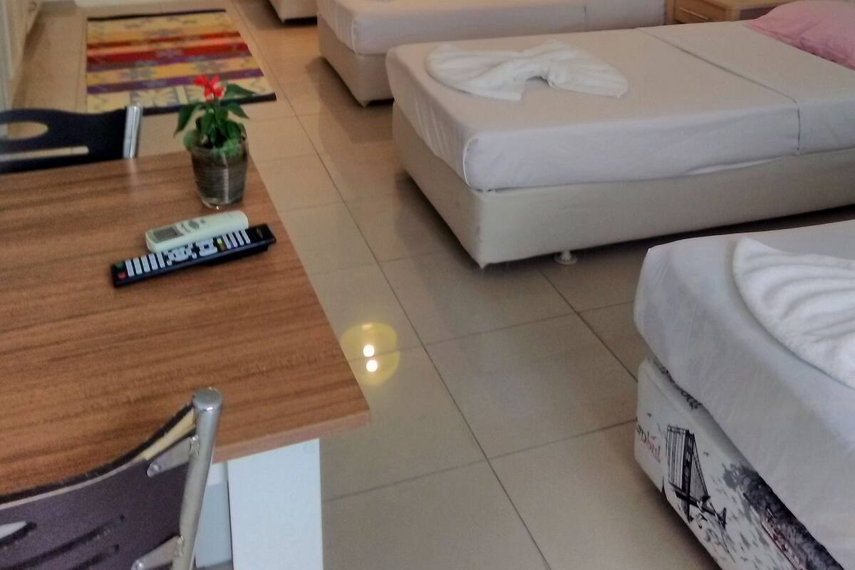 A room with two single beds, a small table with a potted plant, a remote control, and a window with blinds.