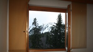 Een uitzicht op besneeuwde bergen en altijdgroene bomen vanuit een raam.