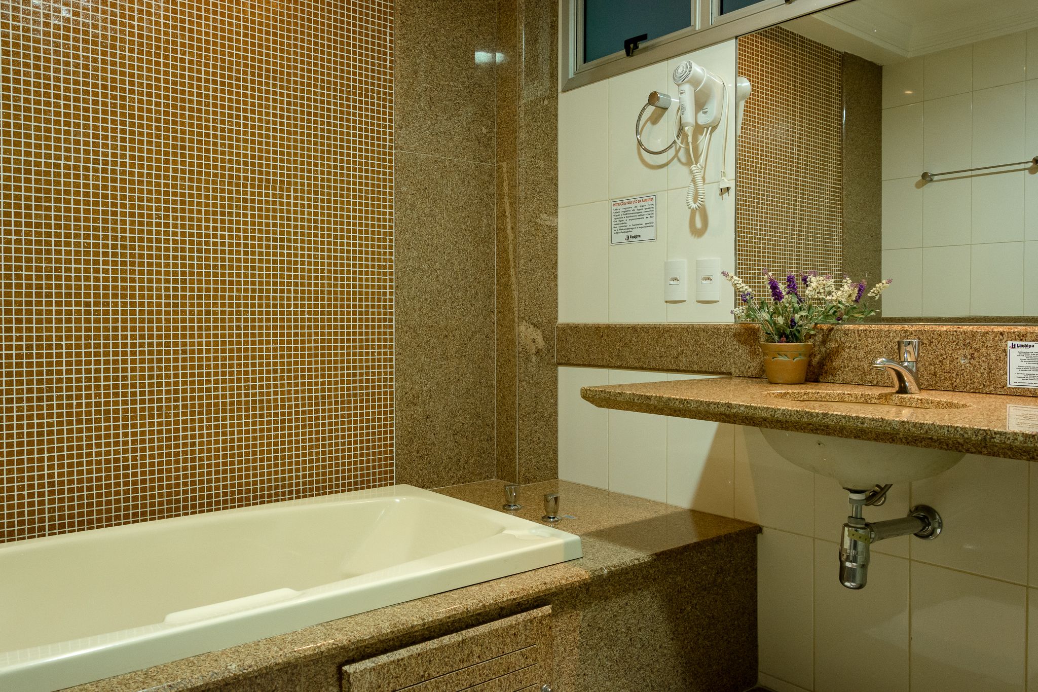 executive double room, 1 queen bed | bathroom | hair dryer, towels, soap, shampoo