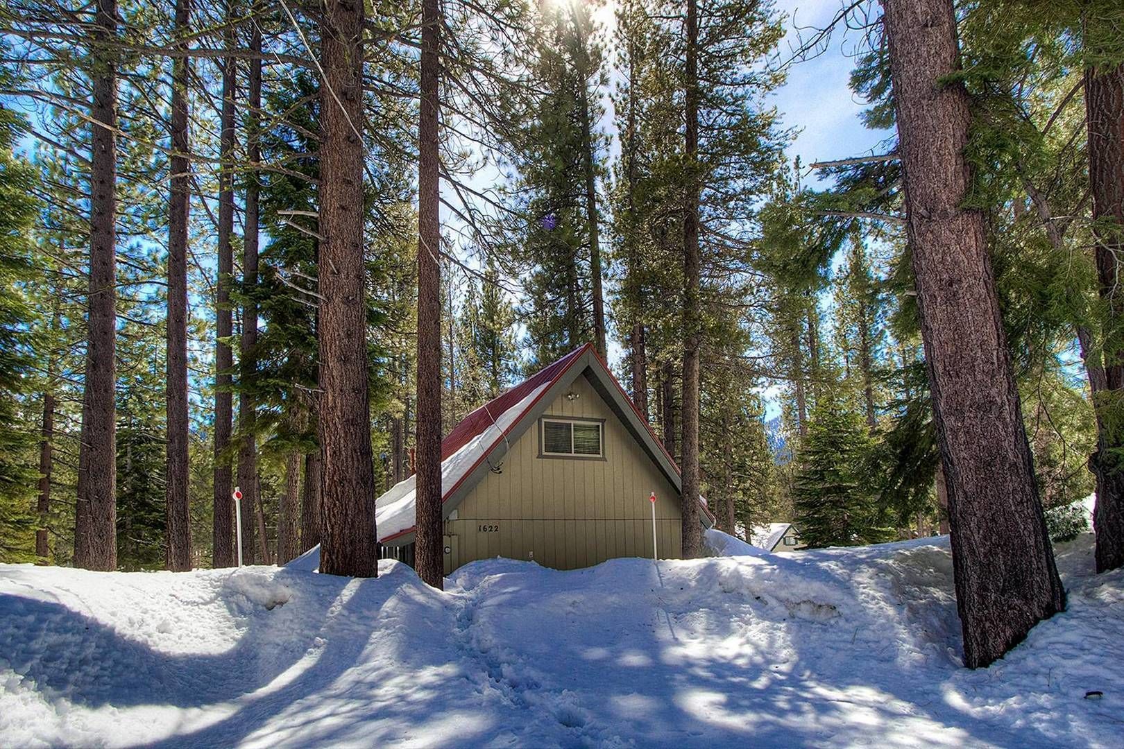 Property grounds. Cozy Cabin