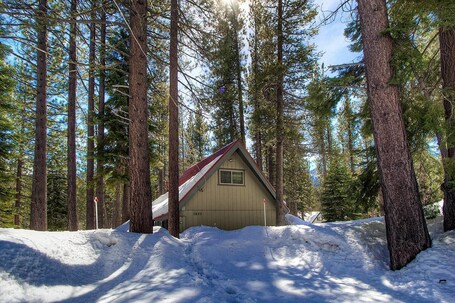 Property grounds. Cozy Cabin