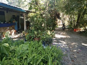 Un jardín con plantas en macetas y un sendero que lleva a un edificio con techo azul.