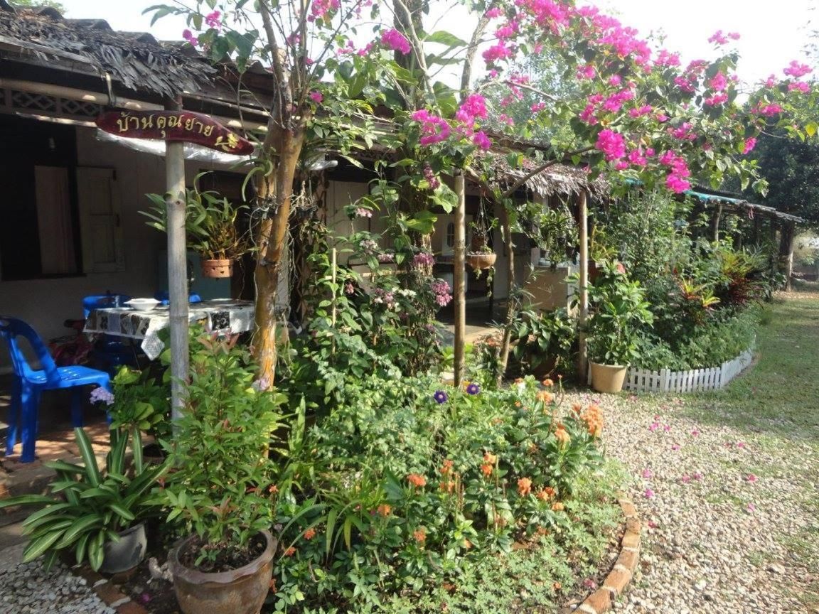 Un jardín con plantas en macetas, una estructura de techo de paja y una cerca de piquetes blancos.