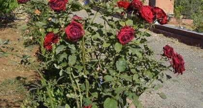 Maison d'hôtes Tinwitchi